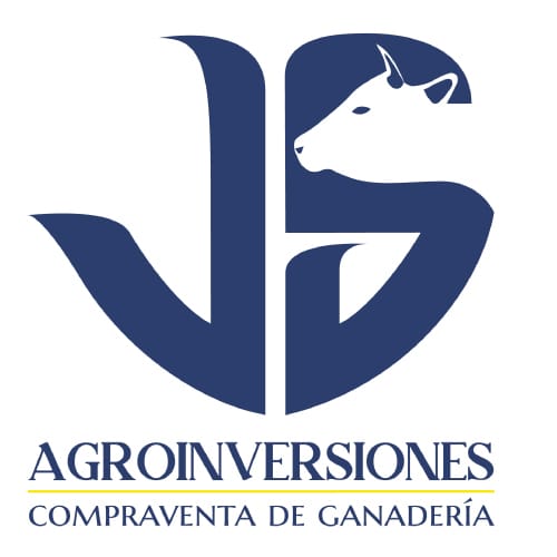 Inversiones